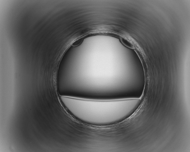 X0000096211337200801181001