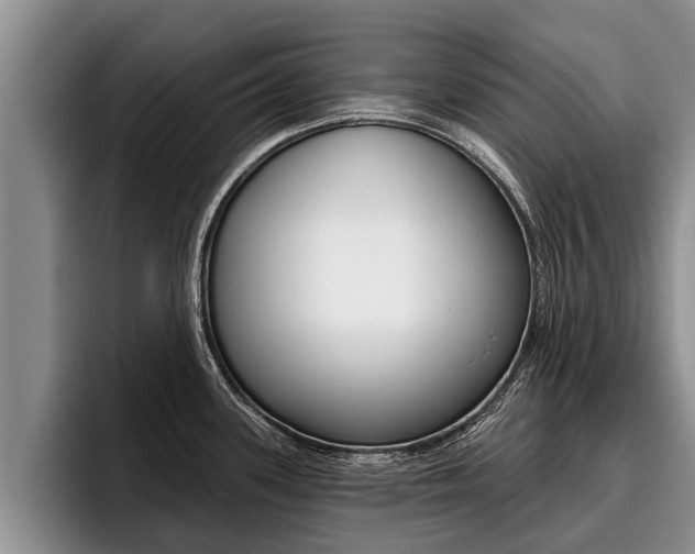 X0000096211339200801181002