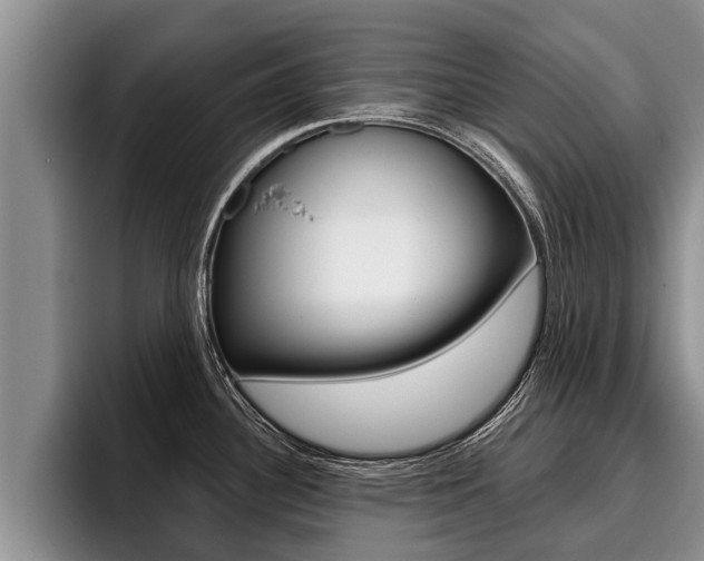 X0000096211340200801181002