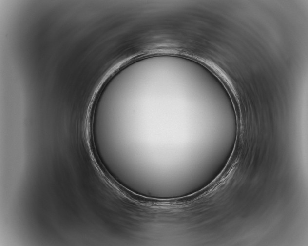 X0000096211341200801181002