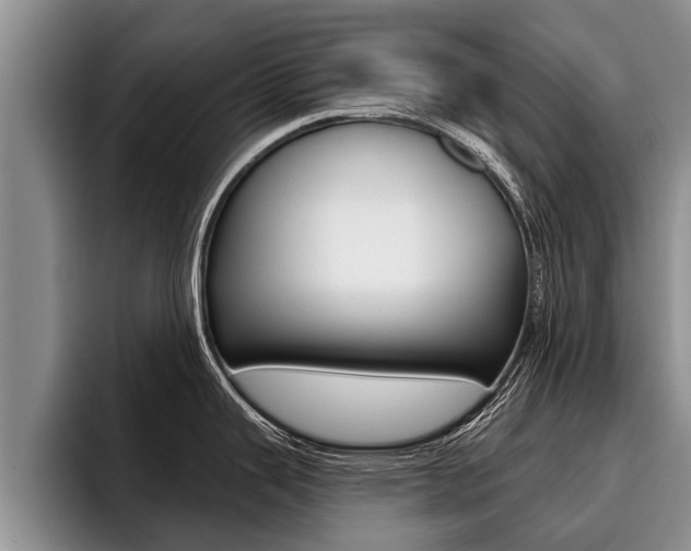 X0000096211343200801181002