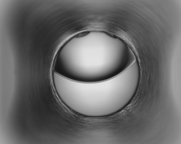 X0000096211344200801181002