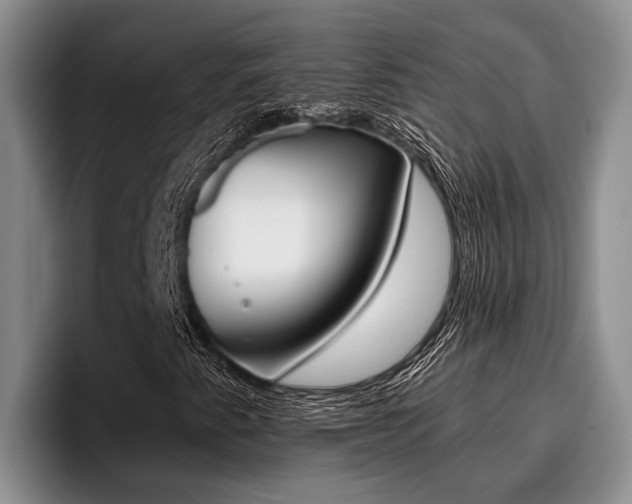 X0000096211345200801181001