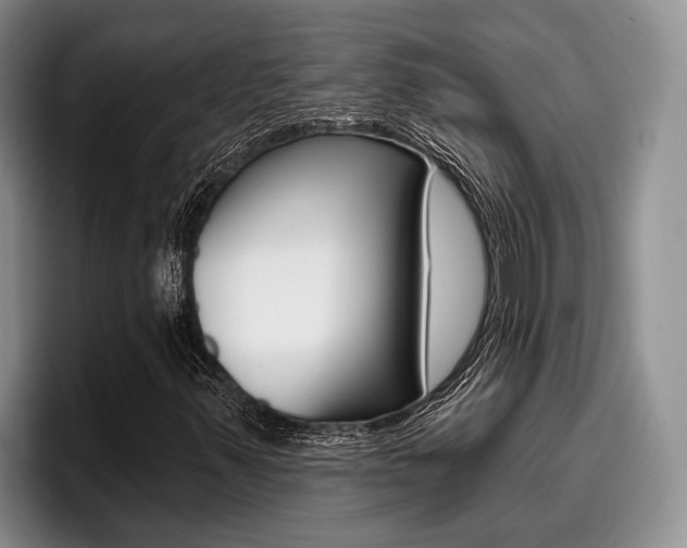 X0000096211347200801181001