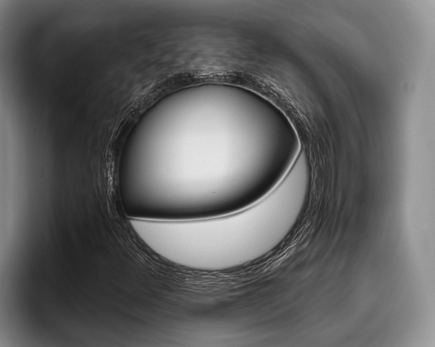 X0000096211348200801181001
