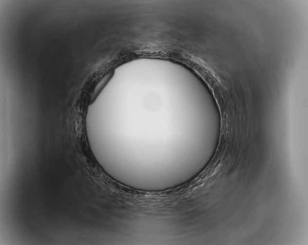 X0000096211350200801181001