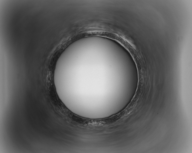 X0000096211351200801181001