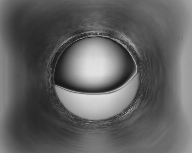 X0000096211352200801181001