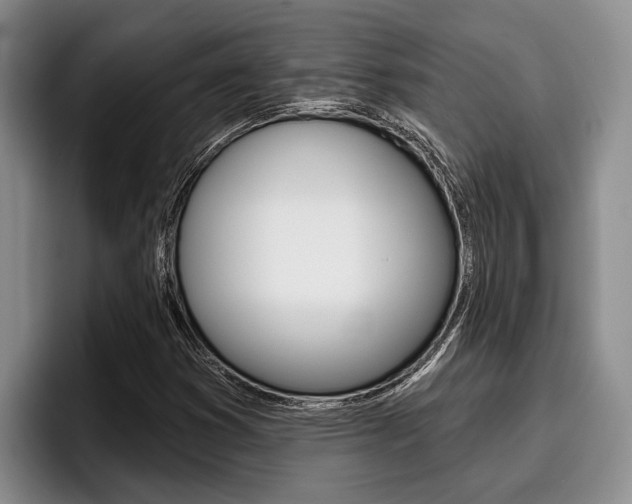 X0000096211353200801181001