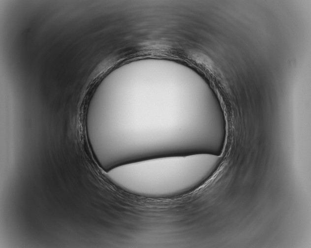 X0000096211354200801181001
