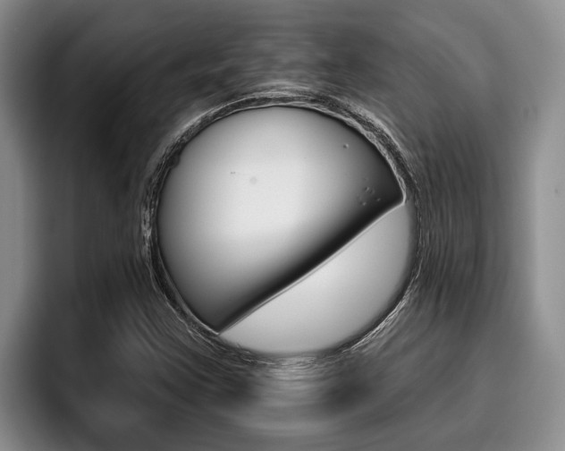 X0000096211355200801181001