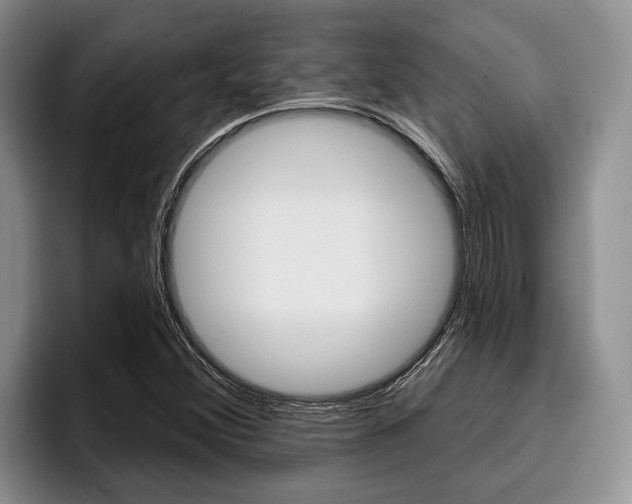 X0000096211356200801181001