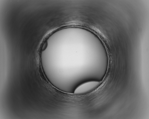 X0000096211358200801181001