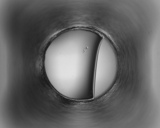 X0000096211359200801181001