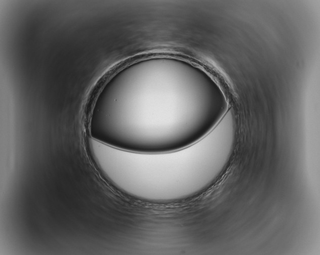 X0000096211360200801181001