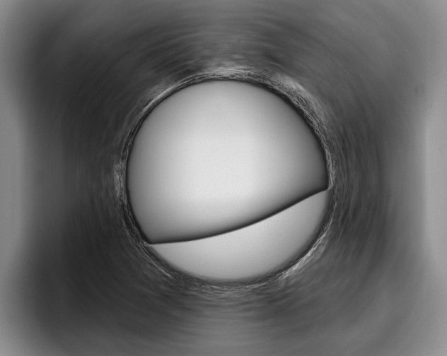X0000096211361200801181001