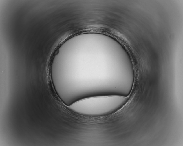X0000096211362200801181001