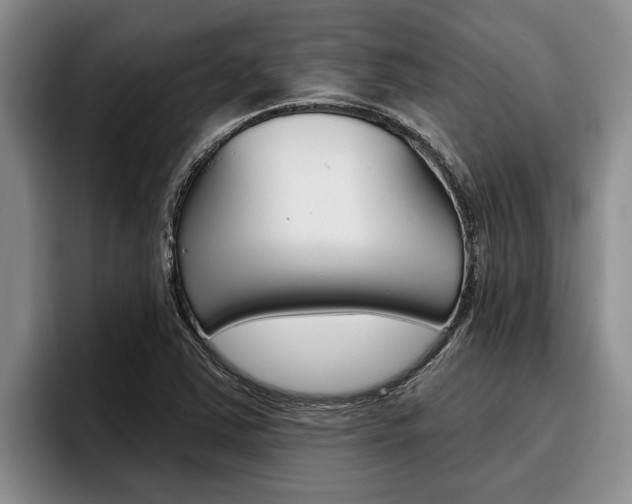 X0000096211363200801181001