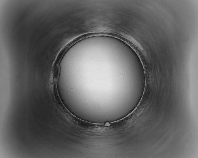 X0000096211364200801181001