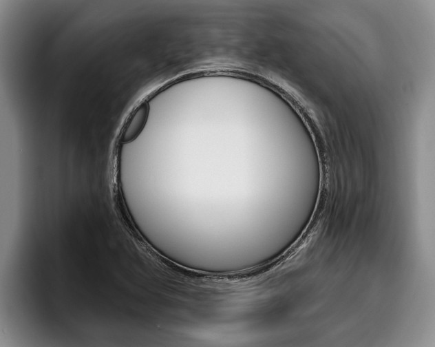 X0000096211366200801181001
