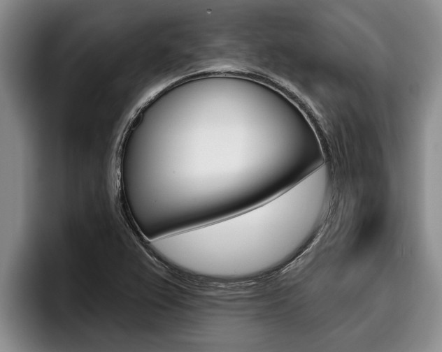 X0000096211367200801181001
