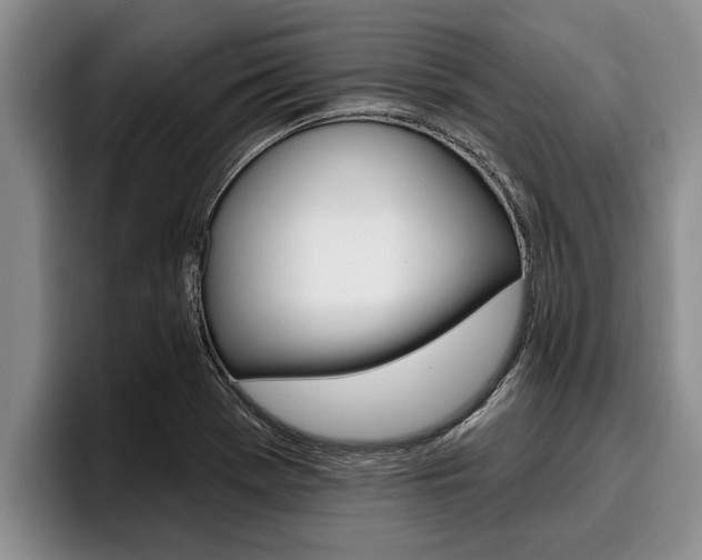 X0000096211369200801181001