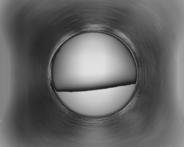 X0000096211370200801181001