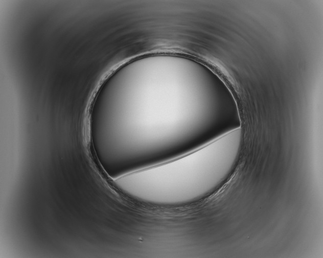 X0000096211371200801181001