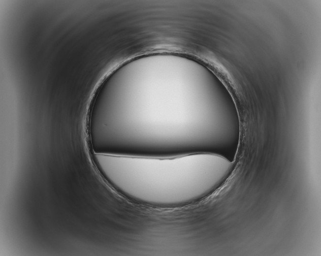 X0000096211373200801181001