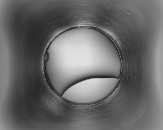 X0000096211374200801181001