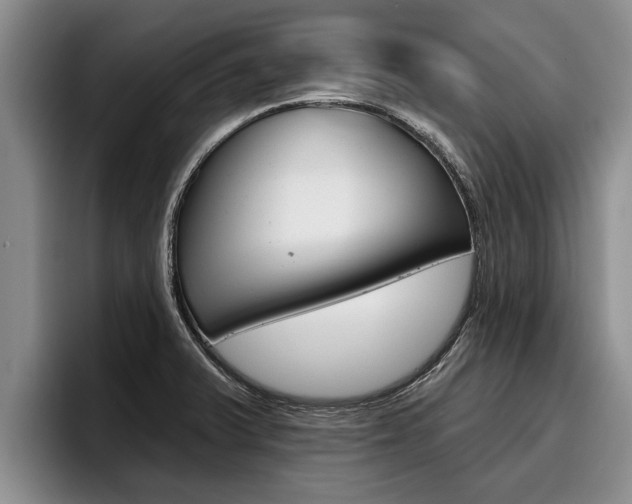 X0000096211375200801181001