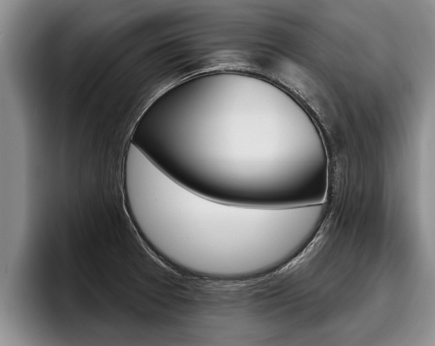 X0000096211377200801181001