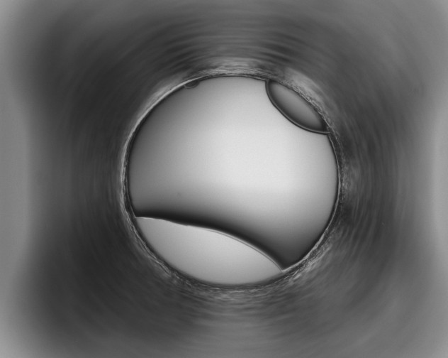 X0000096211378200801181001
