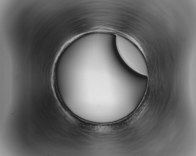 X0000096211379200801181001