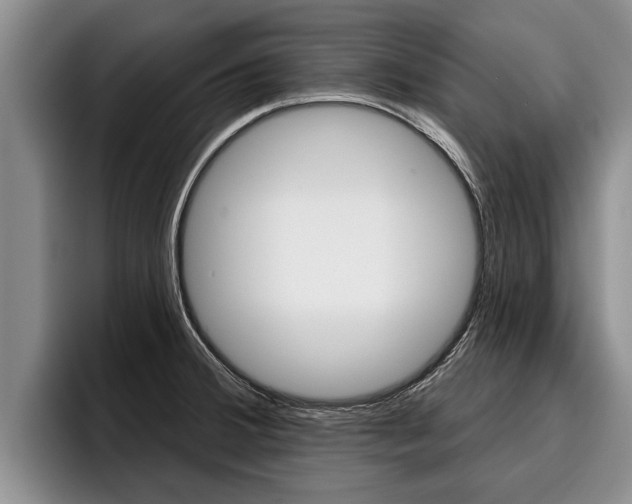 X0000096211380200801181000