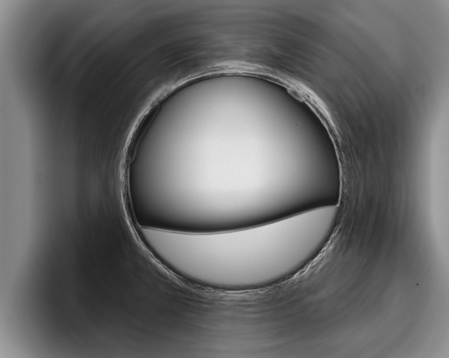 X0000096211381200801181000