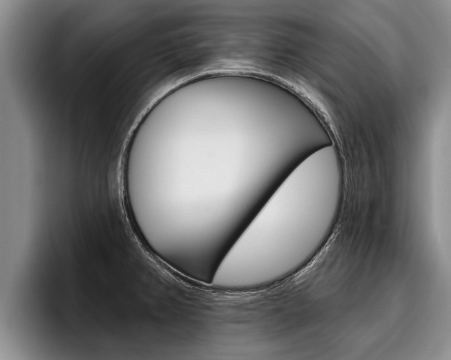 X0000096211382200801181000