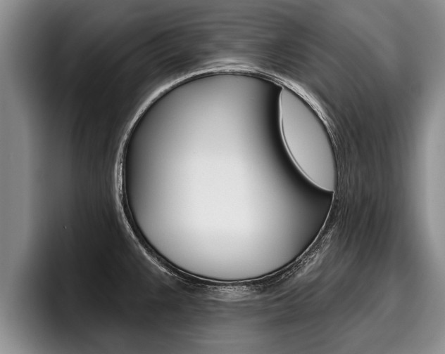 X0000096211383200801181000