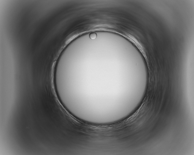 X0000096211384200801181000
