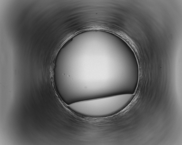 X0000096211385200801181000