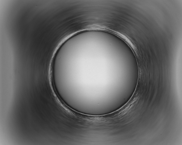 X0000096211387200801181000