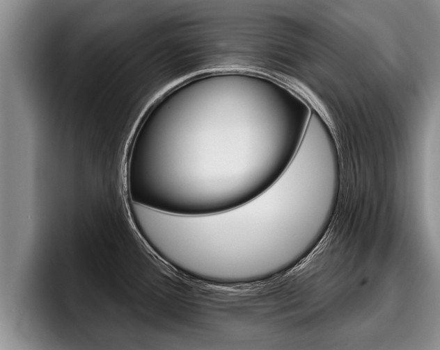 X0000096211388200801181000