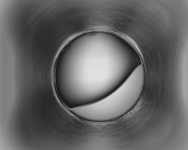 X0000096211389200801181000