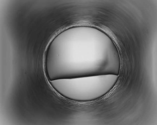X0000096211390200801181000
