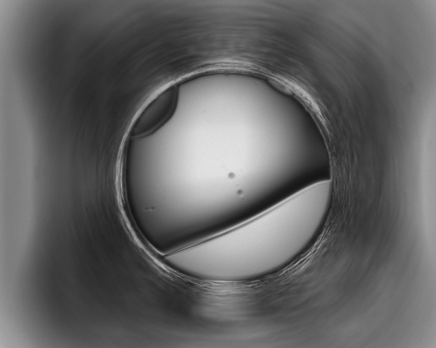 X0000096211391200801181000