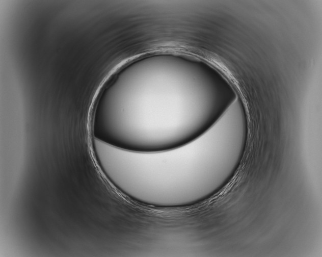 X0000096211392200801181000