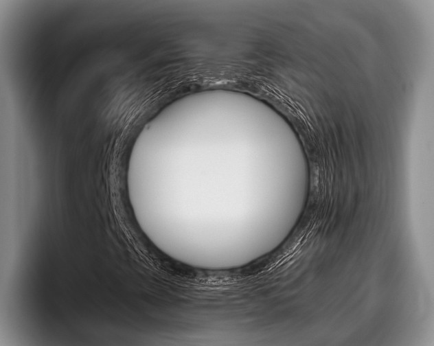 X0000096211393200801181000