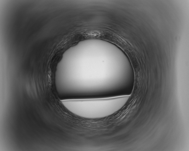 X0000096211394200801181000