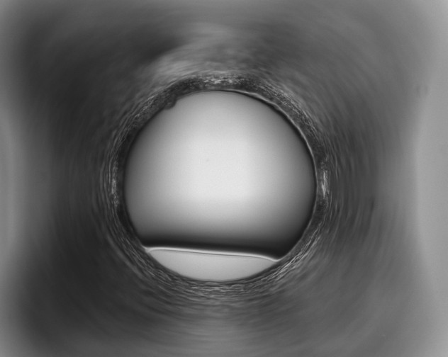 X0000096211396200801181000