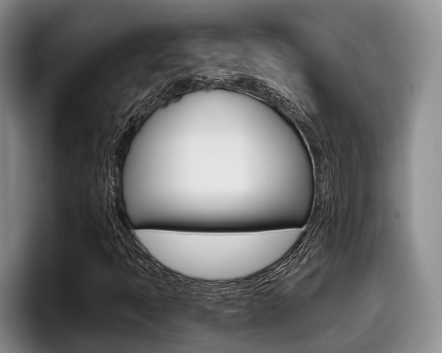 X0000096211397200801181000